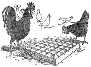 курица и вопросы стратегии